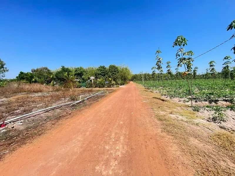 Bán đất Huyện Tân Châu, Tây Ninh – giá 139.8 triệu