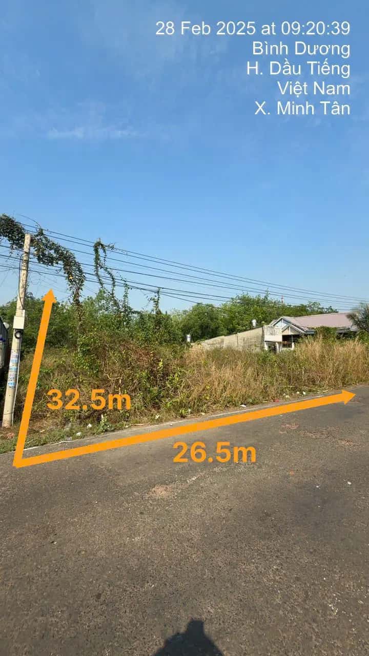Bán đất Dầu Tiếng, Bình Dương – giá 1.3 tỷ