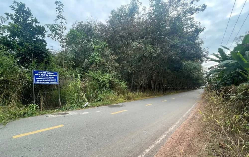 Bán đất Bàu Bàng, Bình Dương – giá 510.3 triệu — Hình 3
