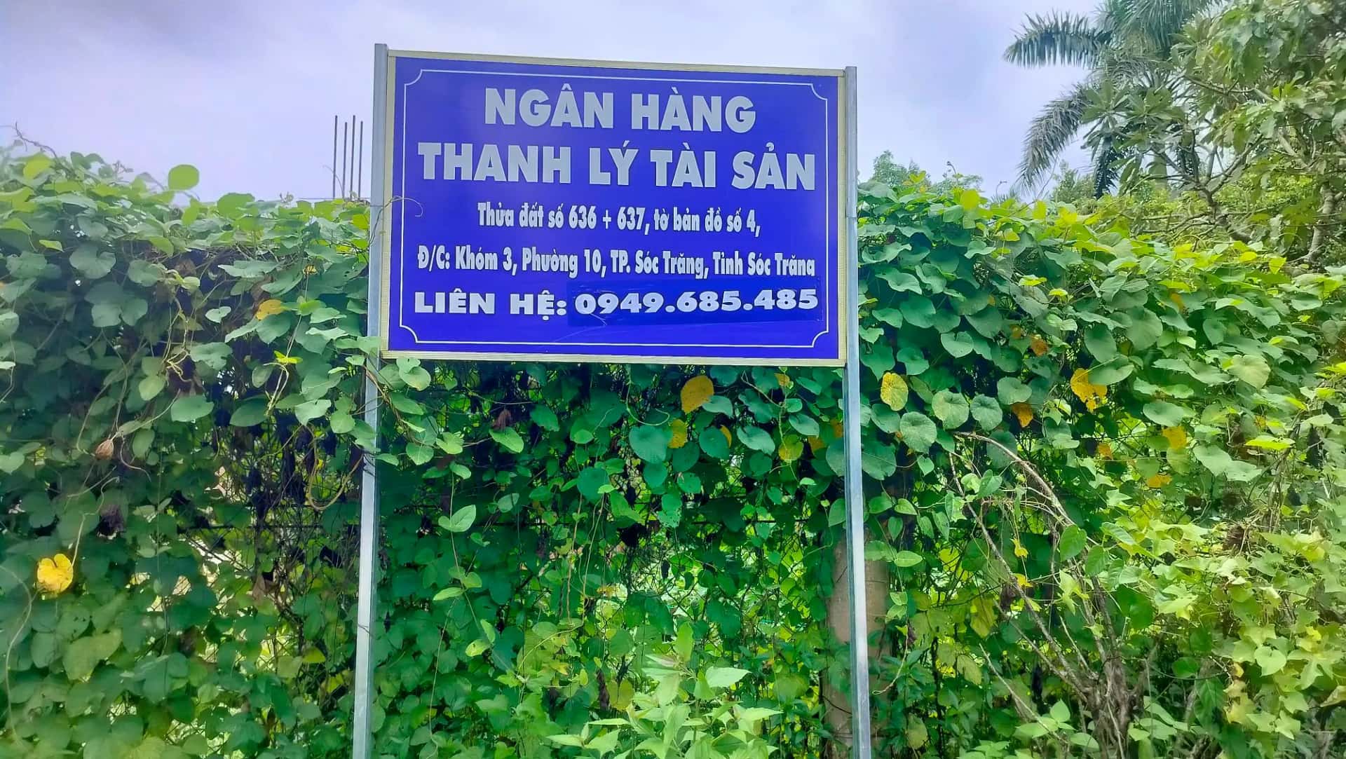 Bán đất Quốc lộ 1A Thành phố Sóc Trăng, Sóc Trăng – giá 2.4 tỷ