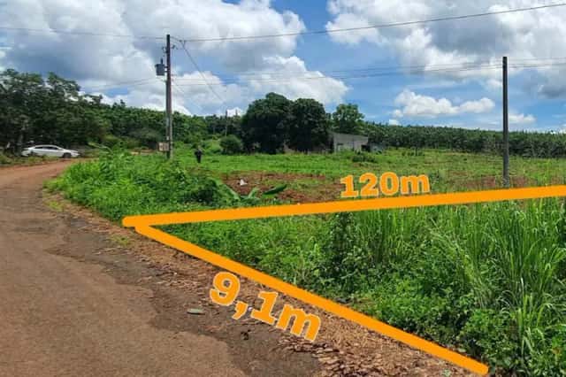Bán đất Unnamed Huyện Bù Gia Mập, Bình Phước – giá 208 triệu