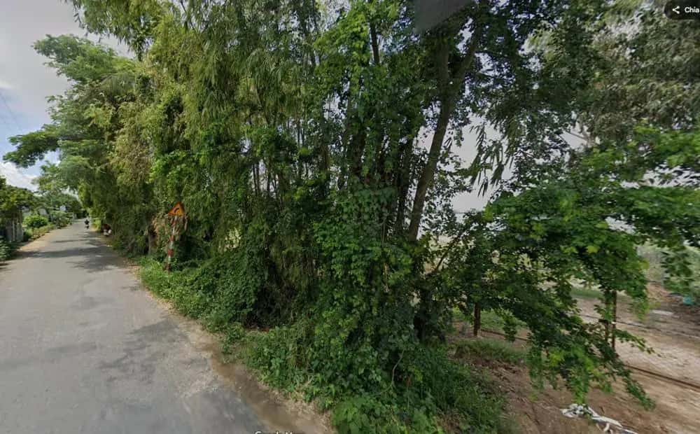 Bán đất Đường tỉnh 954 Huyện Phú Tân, An Giang – giá 1.1 tỷ