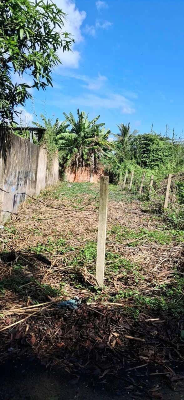 Bán đất Thửa 592 - tờ 44 Hẻm D31 Huyện Bình Chánh, TP.HCM – giá 3 tỷ