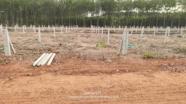 Bán đất Thửa 477 - Tờ 120 Đường AĐ 89 Thành phố Bến Cát, Bình Dương – giá 1.1 tỷ