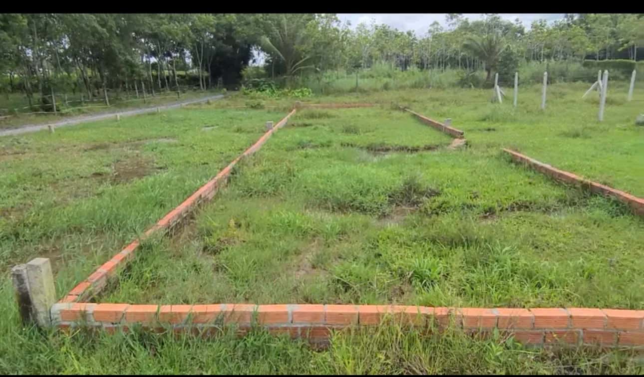 Bán đất Thửa 232 - tờ 29 Huyện Dương Minh Châu, Tây Ninh – giá 450 triệu