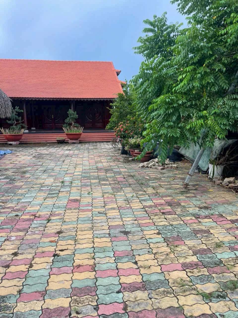 Bán đất Thửa 2960 - Tờ 08 Đường Đê Sông Sài Gòn Thành phố Thủ Dầu Một, Bình Dương – giá 8 tỷ