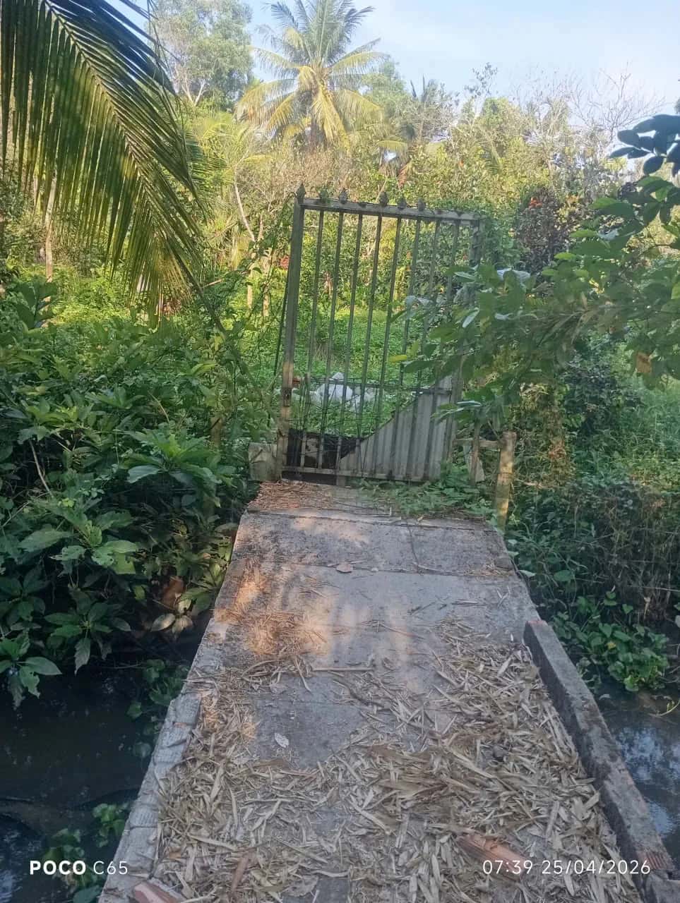 Bán đất Đường Kênh Thủy Lợi Huyện Châu Thành A, Hậu Giang – giá 470 triệu