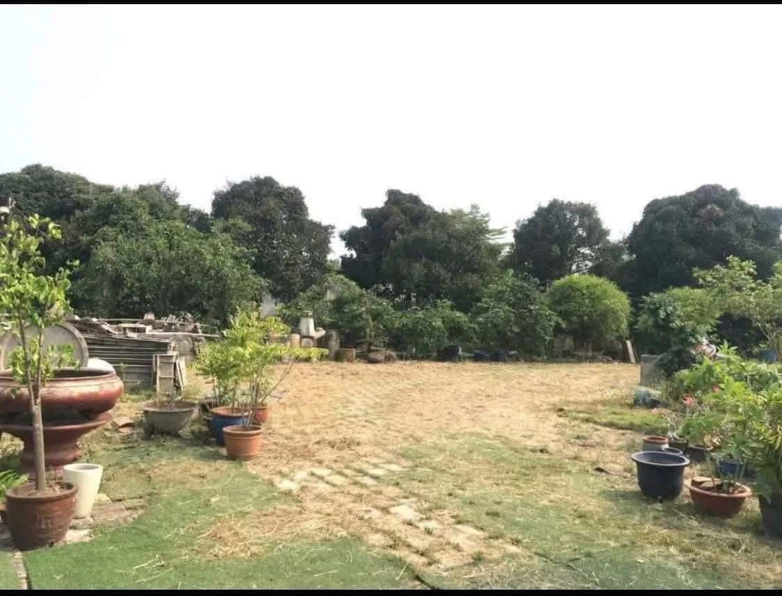 Bán đất Bùi Quốc Khánh  Thành phố Thủ Dầu Một, Bình Dương – giá 12 tỷ