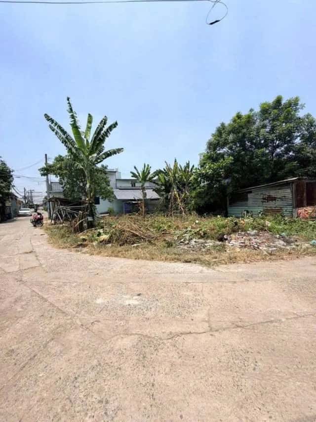 Bán đất Trịnh Thị Dối Huyện Hóc Môn, TP.HCM – giá 3 tỷ