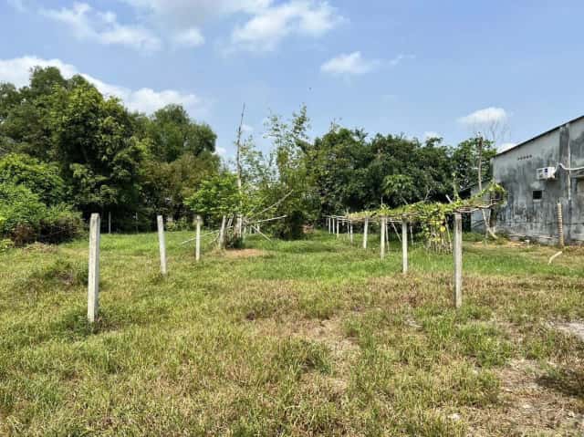Bán đất đường 566 Huyện Củ Chi, TP.HCM – giá 2.8 tỷ