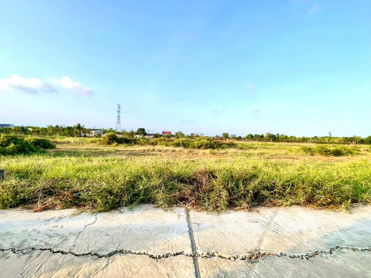 Bán đất ấp Thuận Trị Huyện Gò Công Tây, Tiền Giang – giá 350 triệu