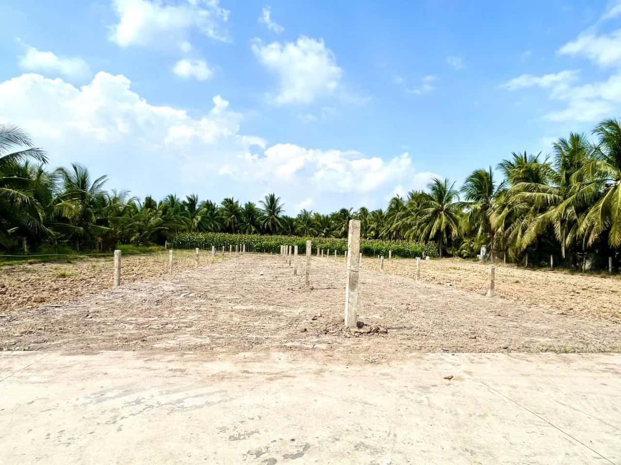 Bán đất ấp Hòa Thạnh Huyện Chợ Gạo, Tiền Giang – giá 375 triệu