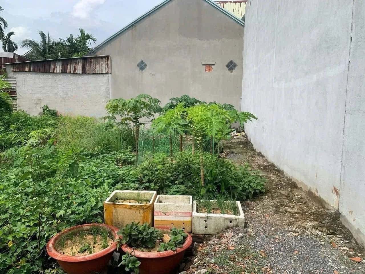 Bán đất Bình Nhâm 36 Thành phố Thuận An, Bình Dương – giá 1.6 tỷ