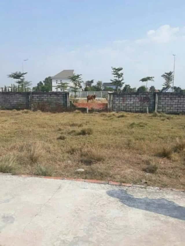 Bán đất đường số 89 Huyện Củ Chi, TP.HCM – giá 1.5 tỷ Bán đất đường số 89 Huyện Củ Chi, TP.HCM – giá 1.5 tỷ