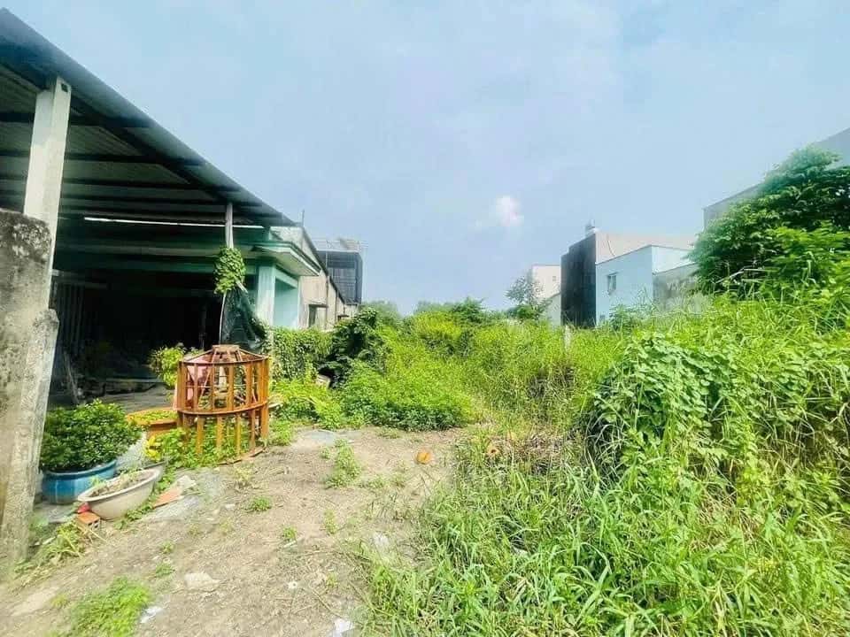 Bán đất Giồng Cát Huyện Củ Chi, TP.HCM – giá 2 tỷ
