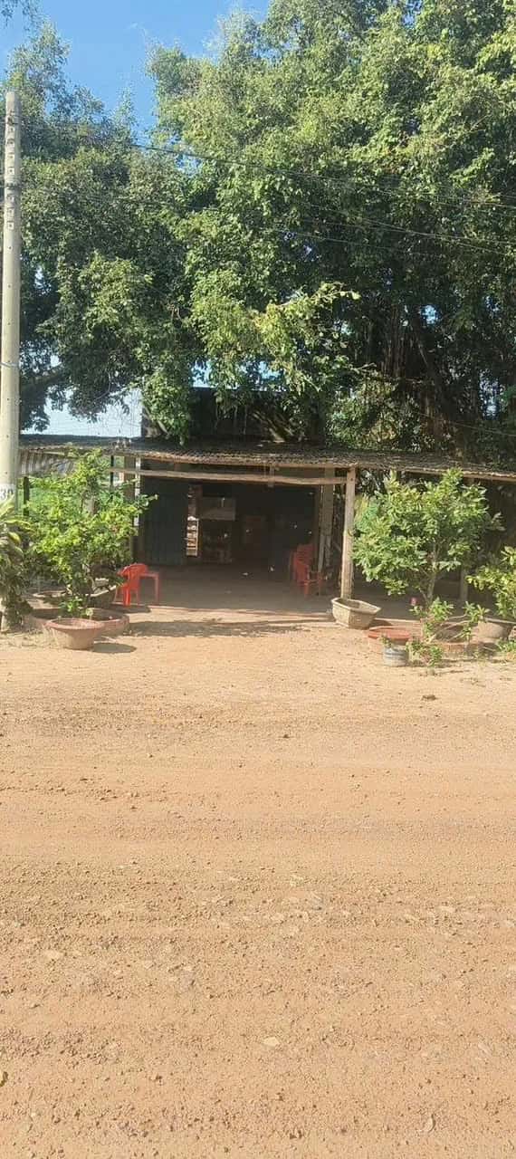 Bán đất Ấp Chòm Dừa Huyện Châu Thành, Tây Ninh – giá 3.2 tỷ