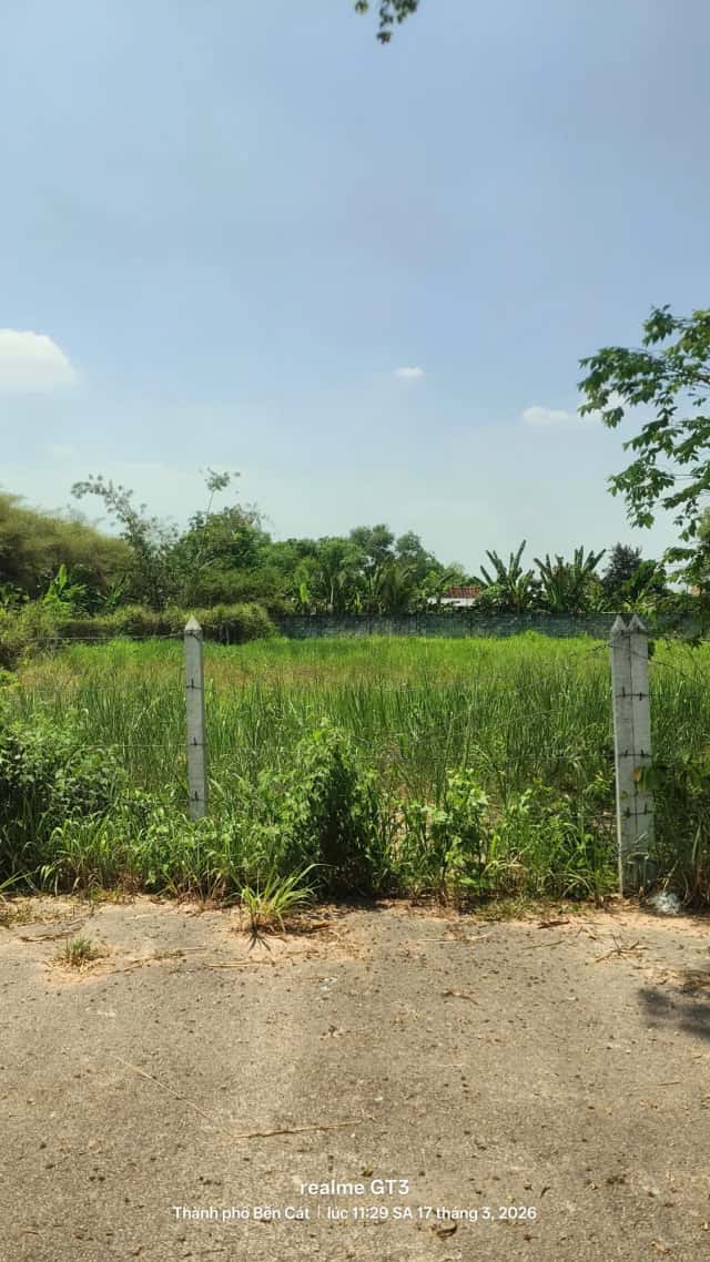 Bán đất Đường Phú An 023 Thành phố Bến Cát, Bình Dương – giá 1.3 tỷ