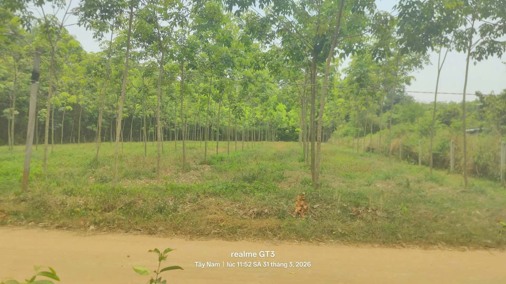 Bán đất Đường Thanh Tuyền 093 Huyện Dầu Tiếng, Bình Dương – giá 5.7 tỷ