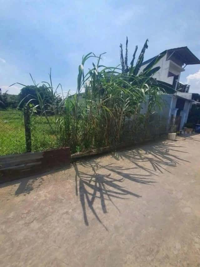 Bán đất Bình Nhâm 79, khu phố Bình Phước Thành phố Thuận An, Bình Dương – giá 3 tỷ