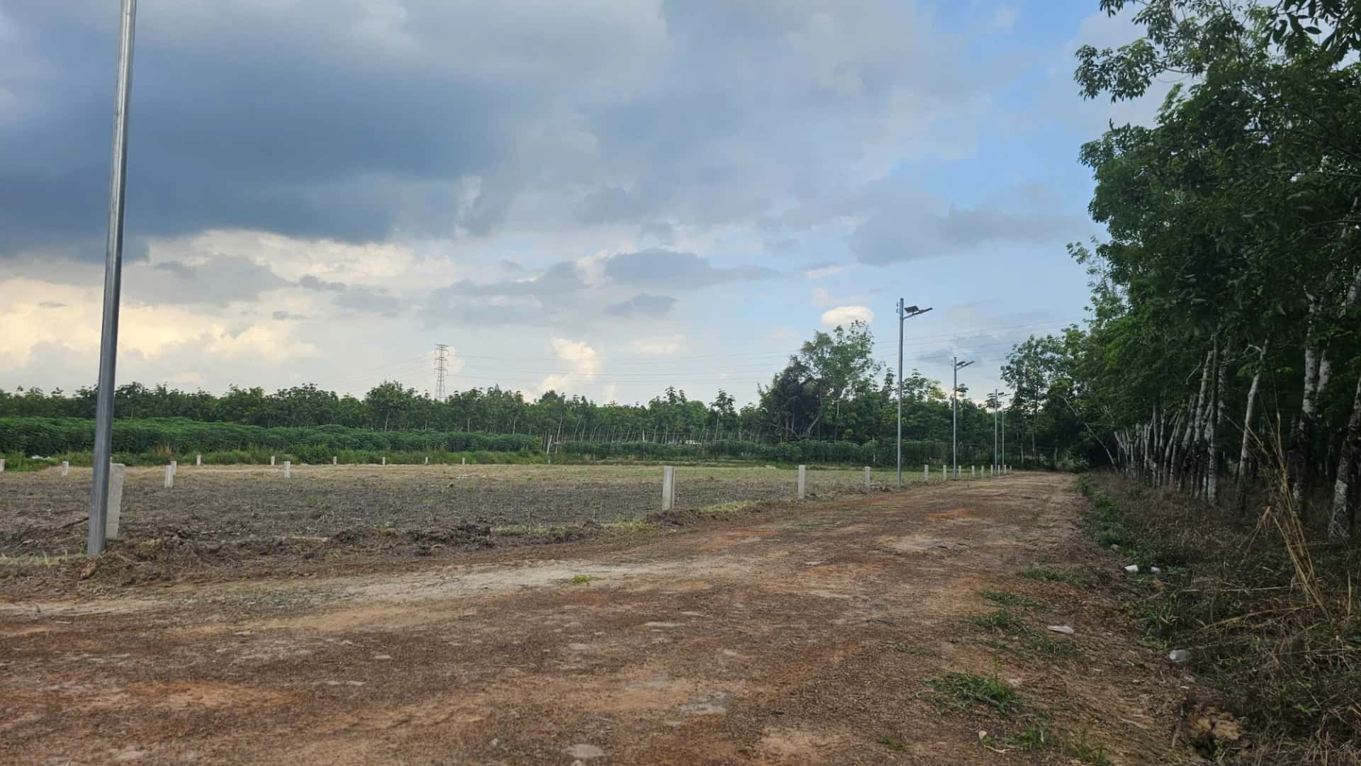 Bán đất Đường Bờ Nam Kênh Tây Thành phố Tây Ninh, Tây Ninh – giá 256 triệu