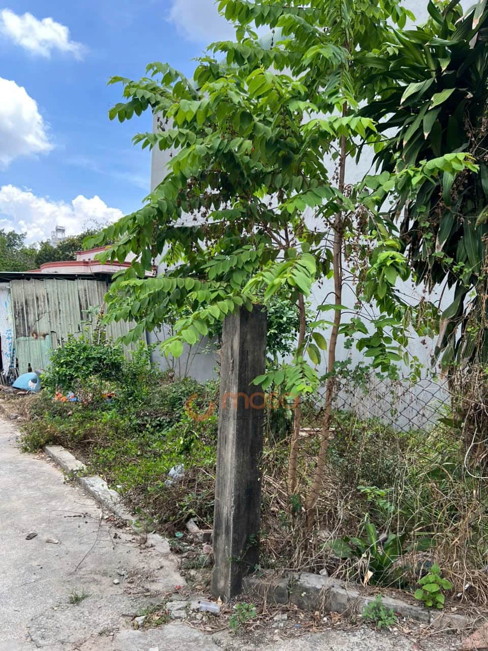 Bán đất 226/16/24A đường số 8, khu phố 3 Thành phố Thủ Đức, TP.HCM – 1 phòng ngủ, giá 3.8 tỷ Bán đất 226/16/24A đường số 8, khu phố 3 Thành phố Thủ Đức, TP.HCM – 1 phòng ngủ, giá 3.8 tỷ