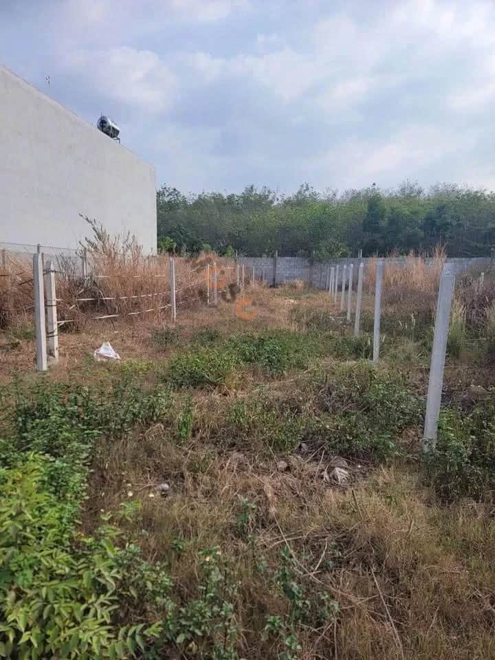 Bán đất Thửa 1480 - tờ 4 đường Hòa Lợi 22 Thành phố Bến Cát, Bình Dương – giá 2 tỷ
