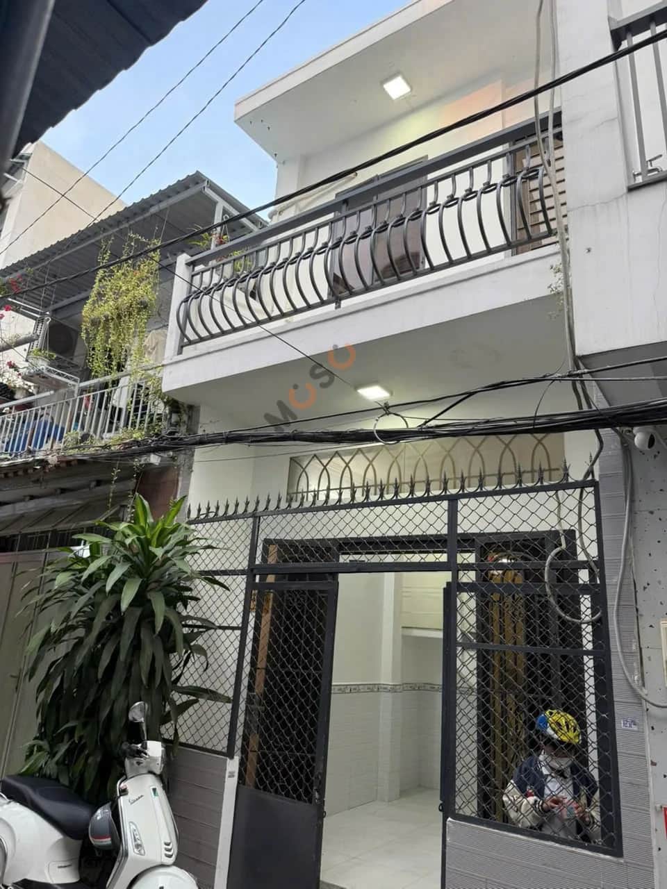 Main image