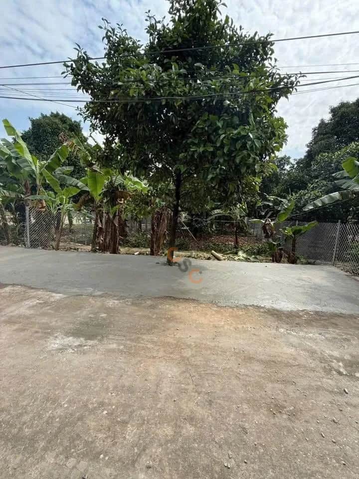 Bán đất Thửa 2218 - tờ 2 đường Bình Nhâm 30, khu phố Bình Hòa Thành phố Thuận An, Bình Dương – giá 7.2 tỷ