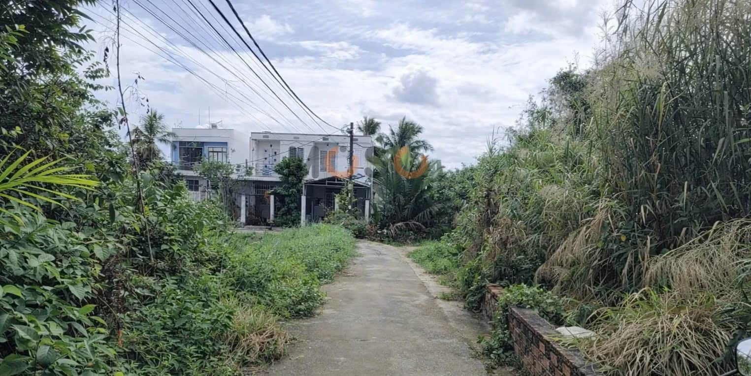 Bán đất Thửa 590 - tờ 50 Tổ 5, đường liên ấp 4-5 Huyện Bình Chánh, TP.HCM – giá 2 tỷ