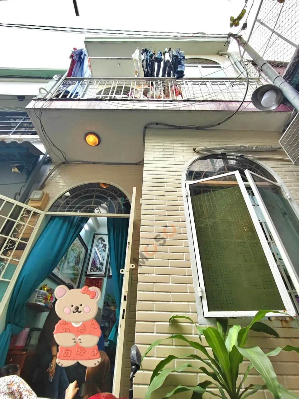 Main image