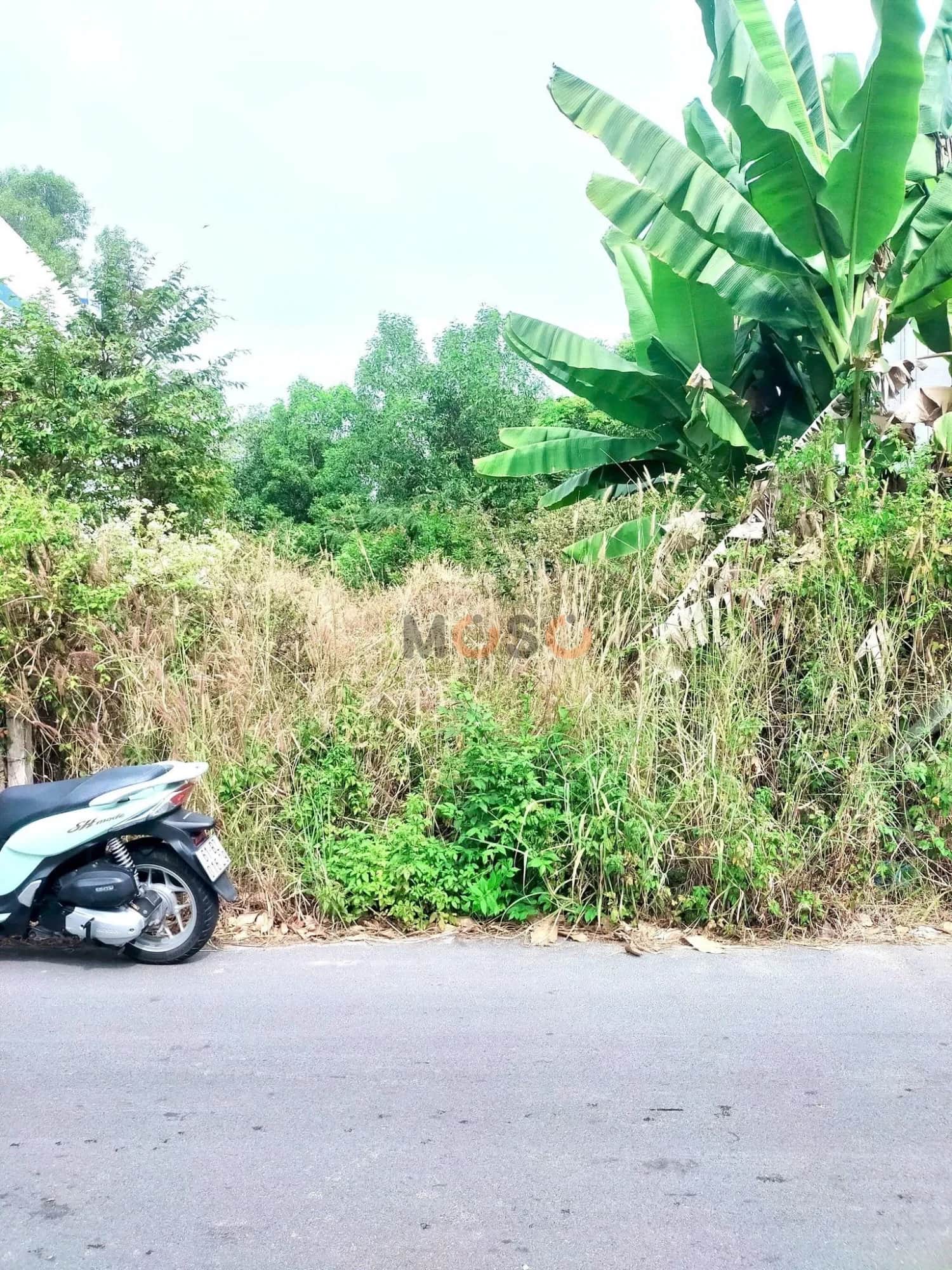 Bán đất Thửa 72 - tờ 40 đường ĐX 88 Thành phố Thủ Dầu Một, Bình Dương – giá 2.6 tỷ Bán đất Thửa 72 - tờ 40 đường ĐX 88 Thành phố Thủ Dầu Một, Bình Dương – giá 2.6 tỷ