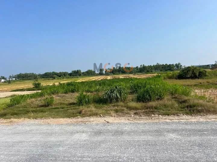 Bán đất Thửa 518 - Tờ 39 ấp Thanh Nhung 1 Huyện Gò Công Đông, Tiền Giang – giá 500 triệu