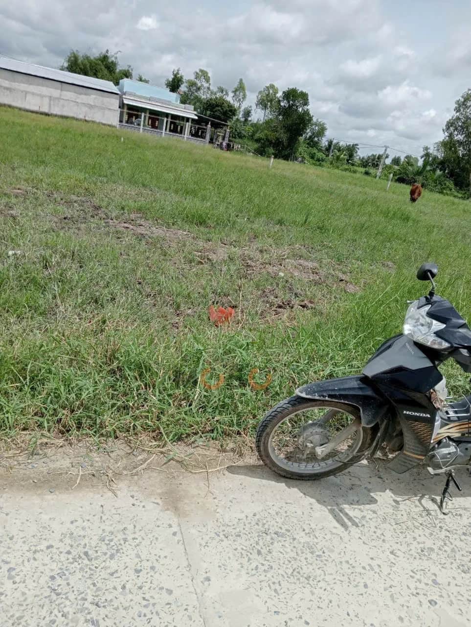 Bán đất Thửa 1056 - Tờ 26 ấp Muôn Nghiệp Thành phố Gò Công, Tiền Giang – giá 490 triệu