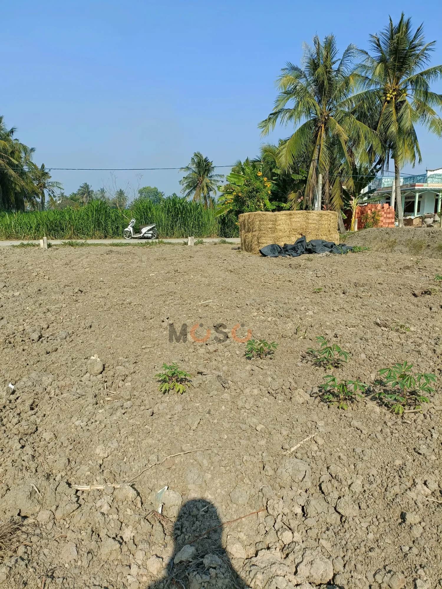 Bán đất Thửa 1098 - Tờ 6 ấp Bình Lạc Huyện Gò Công Tây, Tiền Giang – giá 500 triệu Bán đất Thửa 1098 - Tờ 6 ấp Bình Lạc Huyện Gò Công Tây, Tiền Giang – giá 500 triệu