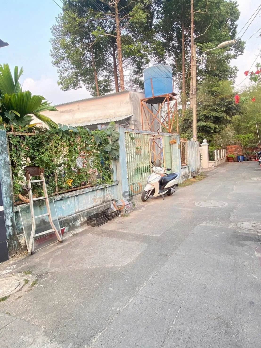 Bán đất Thửa 951 - Tờ 73 Đường Lê Hồng Phong Thành phố Thủ Dầu Một, Bình Dương – giá 8.6 tỷ Bán đất Thửa 951 - Tờ 73 Đường Lê Hồng Phong Thành phố Thủ Dầu Một, Bình Dương – giá 8.6 tỷ