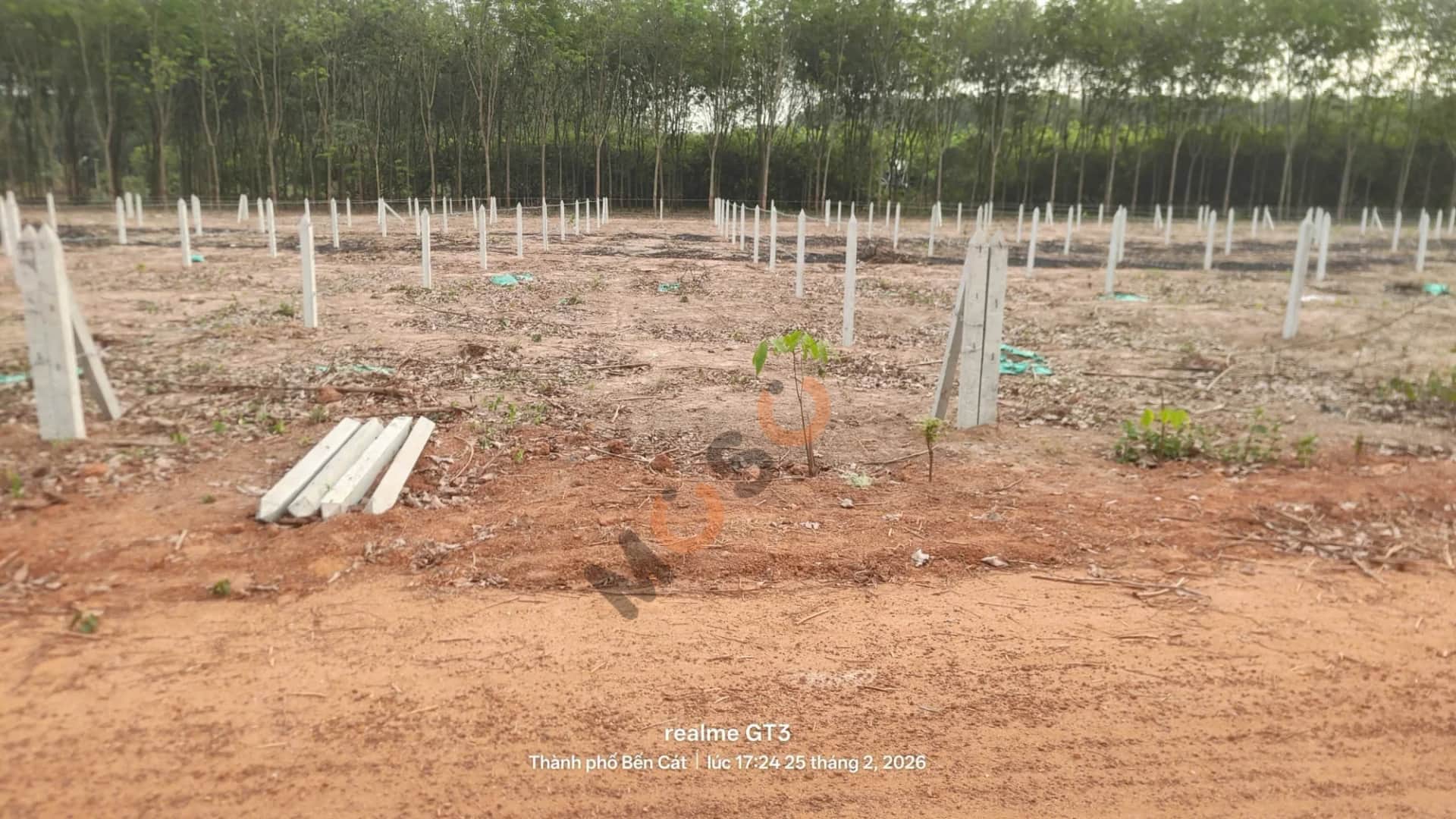 Bán đất Thửa 478 - Tờ 120 Đường AĐ 89 Thành phố Bến Cát, Bình Dương – giá 1.1 tỷ