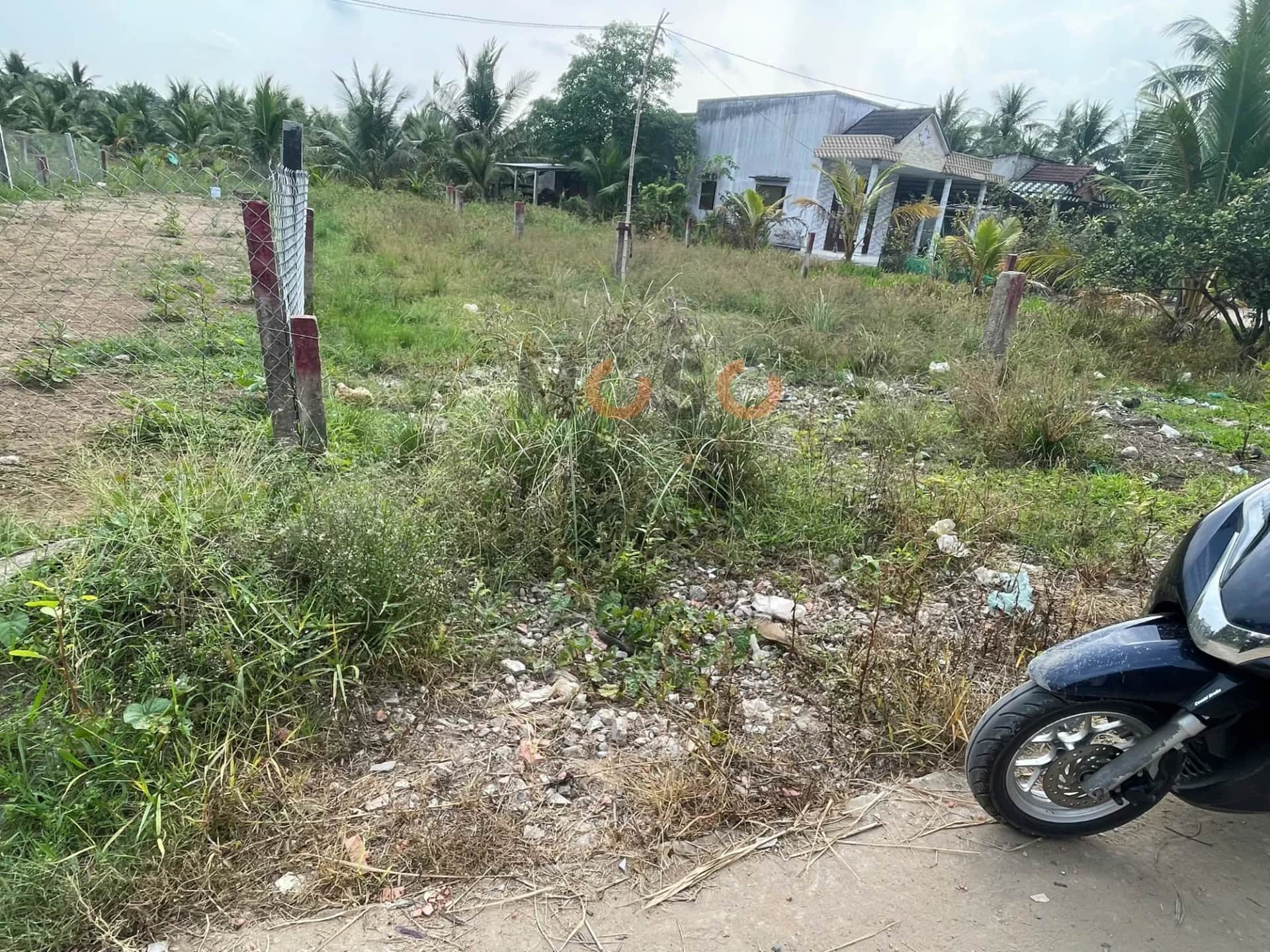 Bán đất Thửa 1196 - Tờ 40 Đường Ông Tường Huyện Chợ Gạo, Tiền Giang – giá 370 triệu Bán đất Thửa 1196 - Tờ 40 Đường Ông Tường Huyện Chợ Gạo, Tiền Giang – giá 370 triệu
