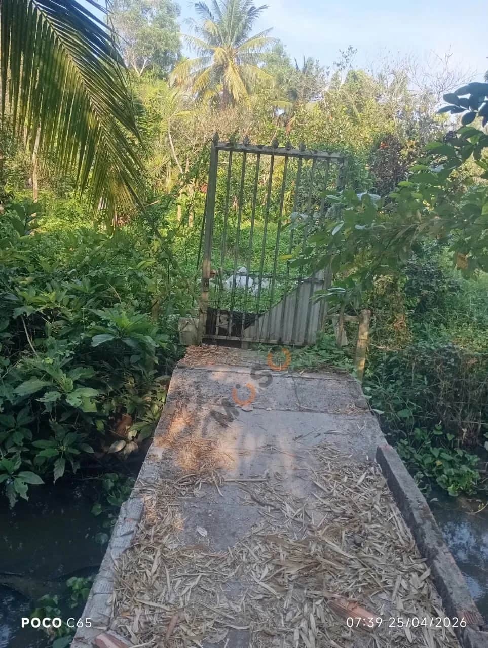 Bán đất Đường Kênh Thủy Lợi Huyện Châu Thành A, Hậu Giang – giá 520 triệu