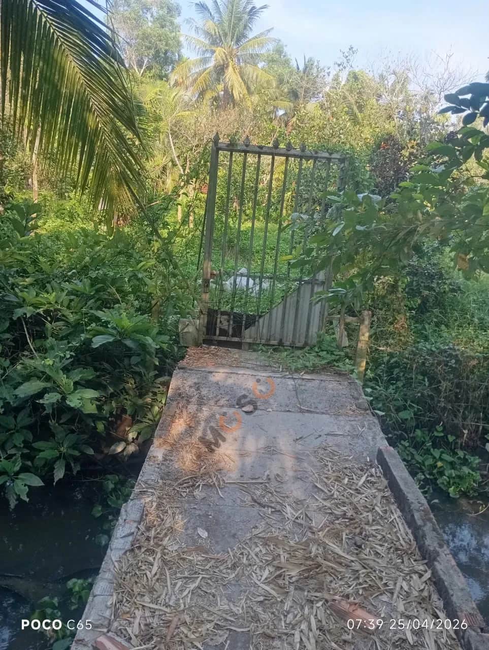 Bán đất Đường Kênh Thủy Lợi Huyện Châu Thành A, Hậu Giang – giá 470 triệu
