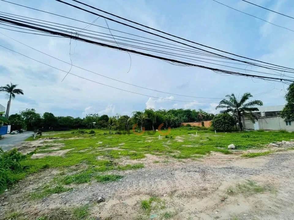 Bán đất Nguyễn Văn Khạ Huyện Củ Chi, TP.HCM – giá 2.9 tỷ