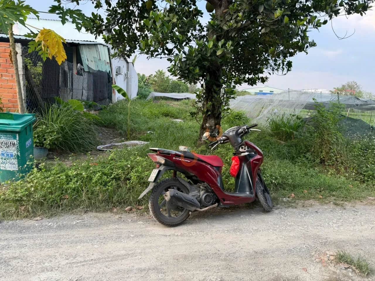Bán đất Đường Huỳnh Minh Mương Huyện Củ Chi, TP.HCM – giá 2 tỷ Bán đất Đường Huỳnh Minh Mương Huyện Củ Chi, TP.HCM – giá 2 tỷ
