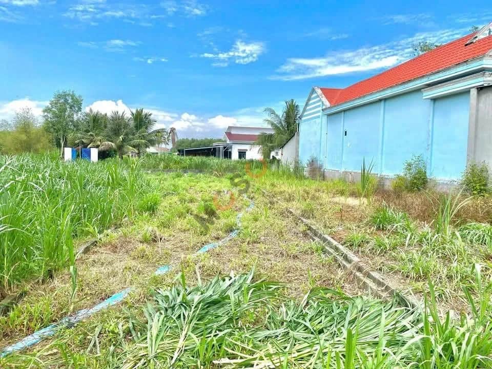 Bán đất Đỗ Đăng Tuyển Huyện Củ Chi, TP.HCM – giá 2.1 tỷ Bán đất Đỗ Đăng Tuyển Huyện Củ Chi, TP.HCM – giá 2.1 tỷ
