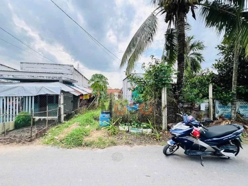 Bán đất đường số 30 Huyện Củ Chi, TP.HCM – giá 2.5 tỷ