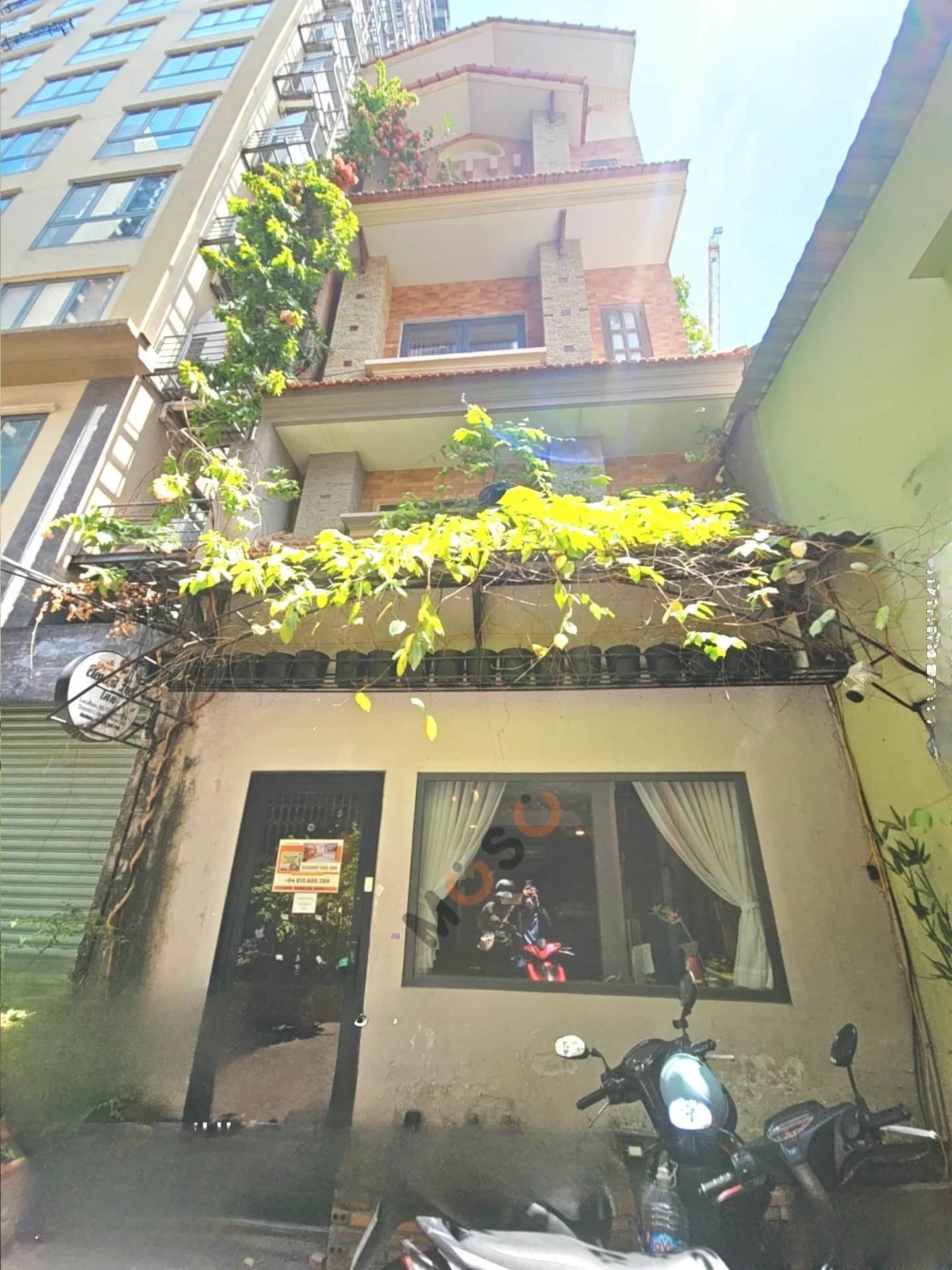 Main image