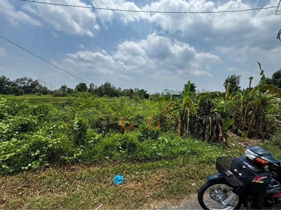 Bán đất Trung An Huyện Củ Chi, TP.HCM – giá 7.5 tỷ