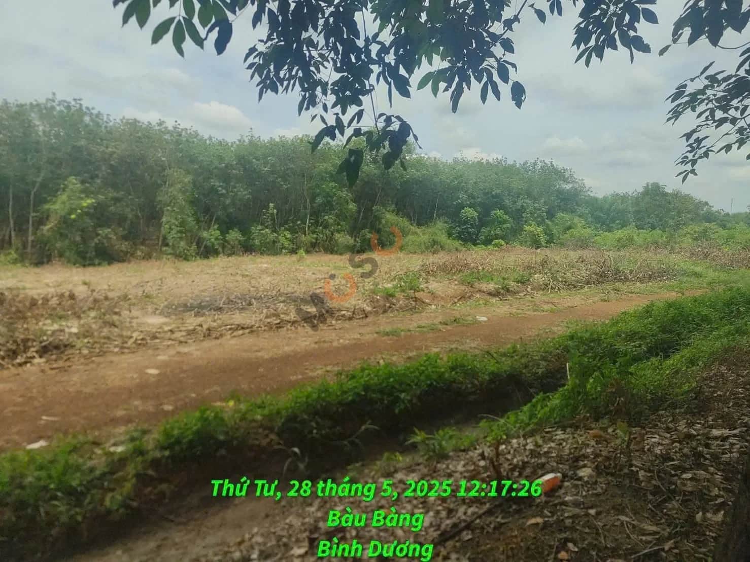 Bán đất Đường Long Nguyên 27 Huyện Bàu Bàng, Bình Dương – giá 4.5 tỷ Bán đất Đường Long Nguyên 27 Huyện Bàu Bàng, Bình Dương – giá 4.5 tỷ
