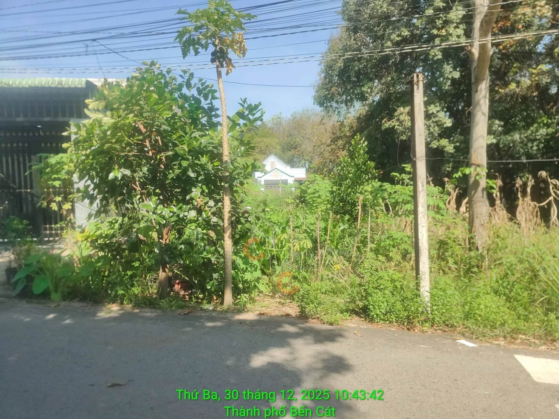 Bán đất Đường Phú An 023 Thành phố Bến Cát, Bình Dương – giá 1.6 tỷ