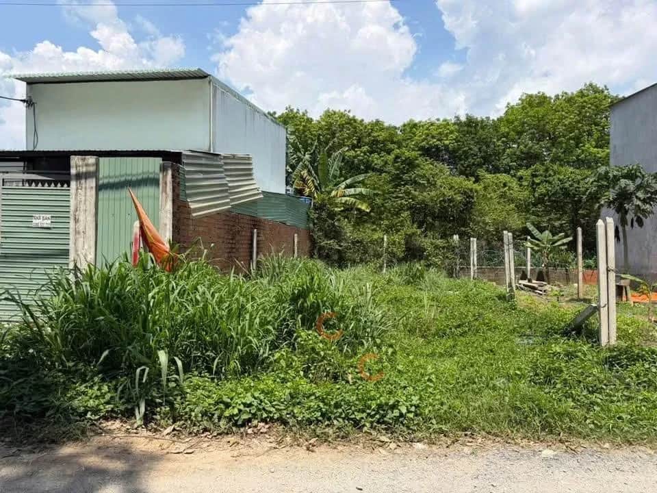 Bán đất Tỉnh Lộ 15 Huyện Củ Chi, TP.HCM – giá 1.3 tỷ