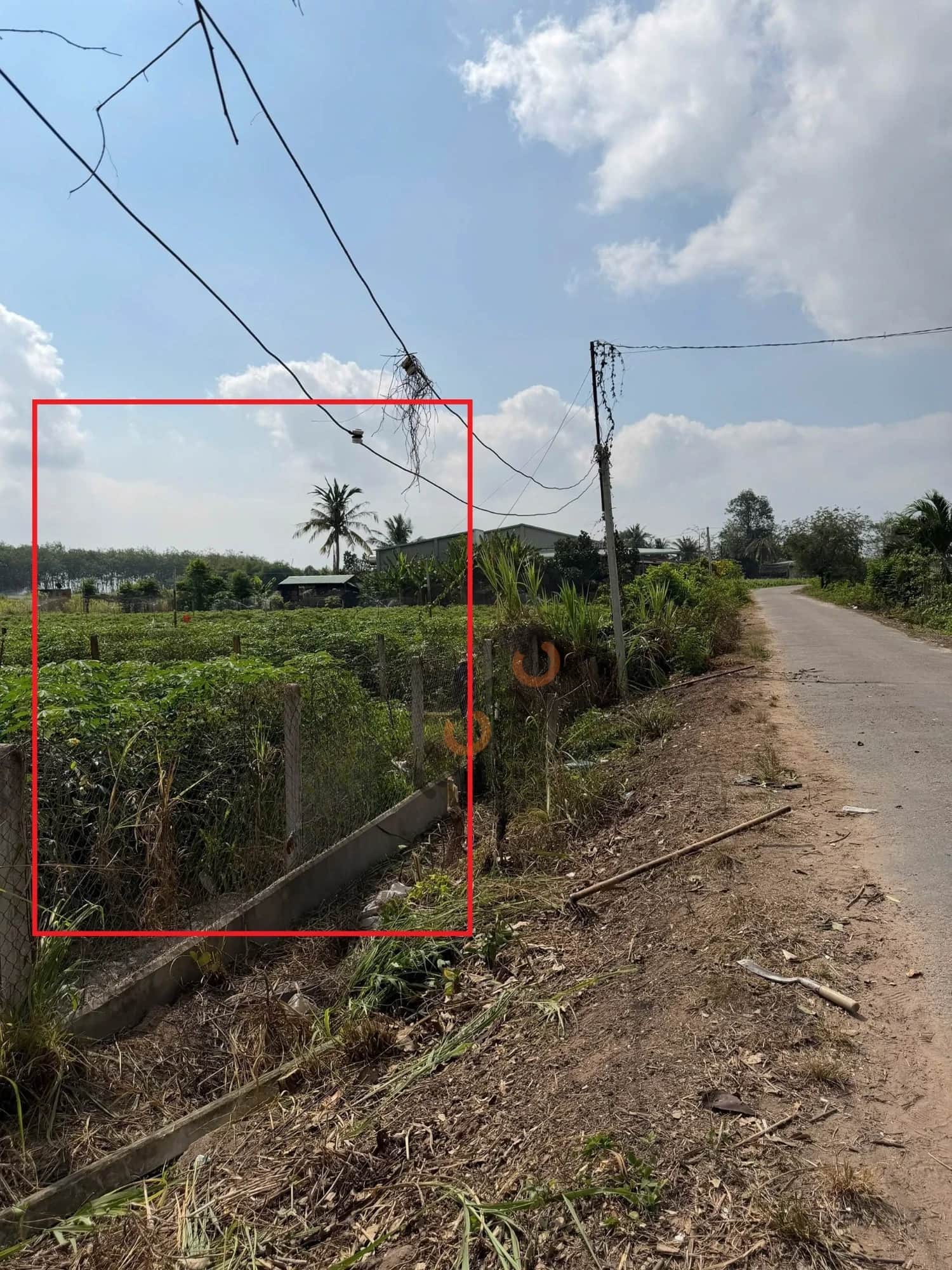 Bán đất đường số 3-3 Huyện Dương Minh Châu, Tây Ninh – giá 1.1 tỷ