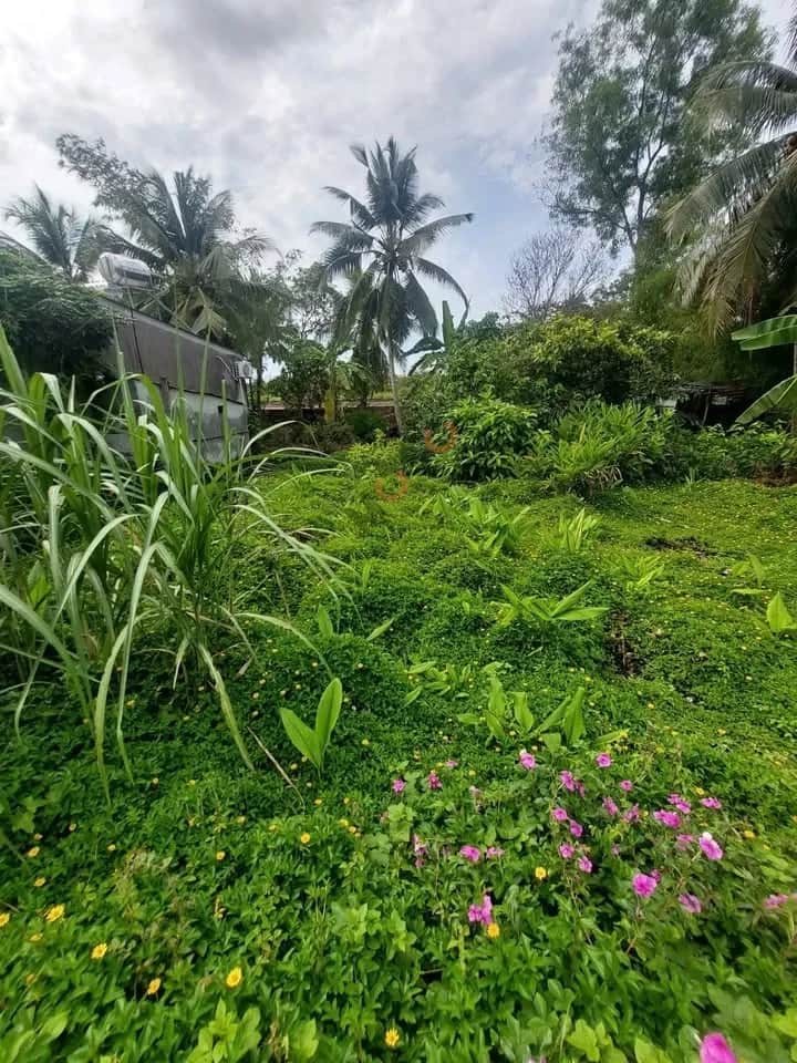 Bán đất Khu Vực Bình Yên B Quận Bình Thuỷ, TP. Cần Thơ – giá 980 triệu